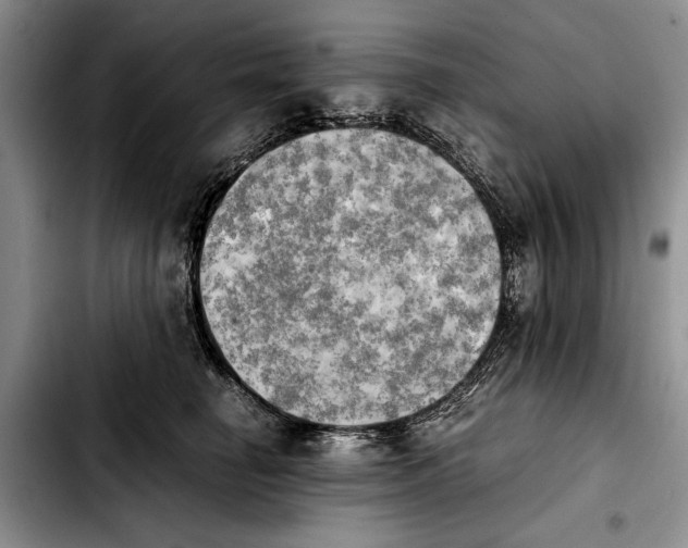 X0000103900662200810101246