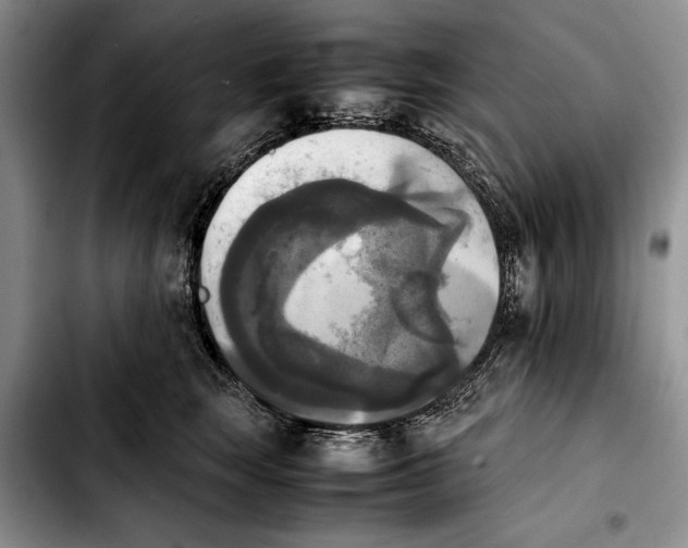 X0000103900663200810101246