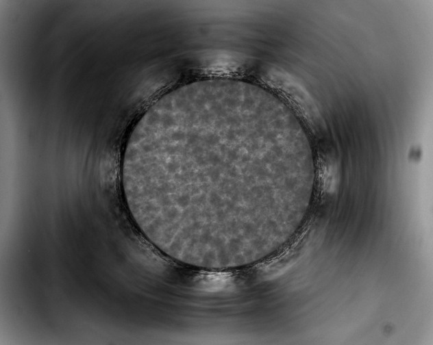 X0000103900665200810101246