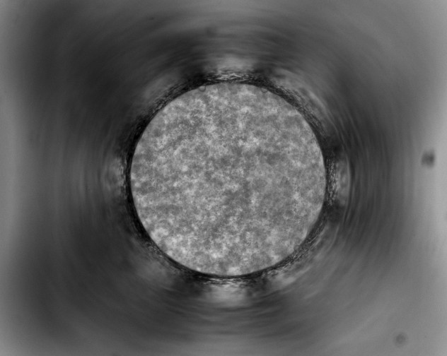 X0000103900667200810101246