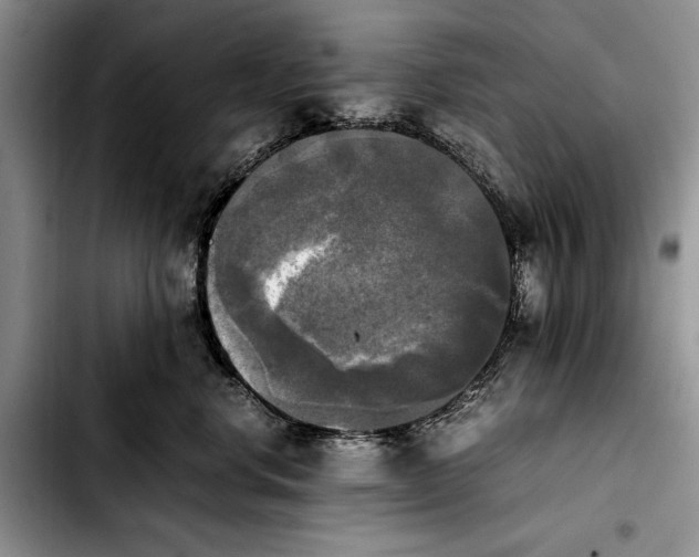 X0000103900668200810101246