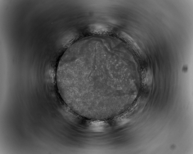 X0000103900669200810101247