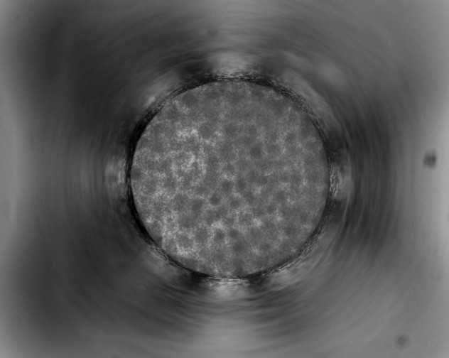 X0000103900670200810101247