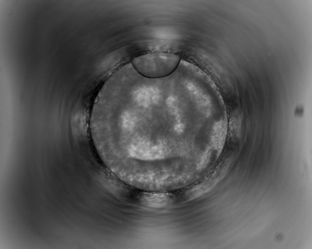 X0000103900671200810101247