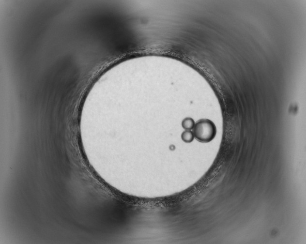 X0000103900673200810101246