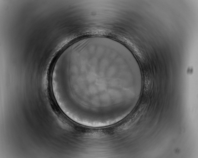 X0000103900674200810101246