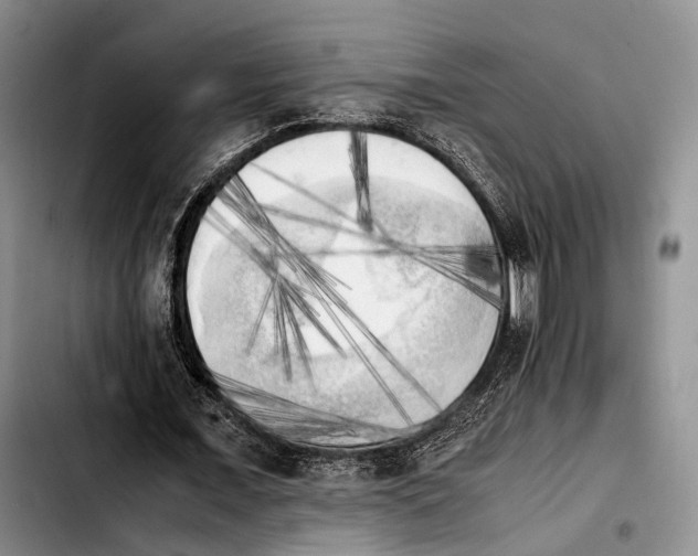 X0000103900675200810101246