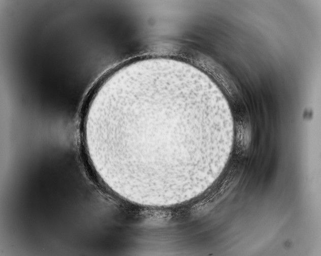 X0000103900676200810101246