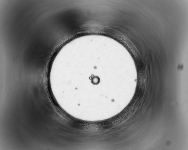 X0000103900677200810101246