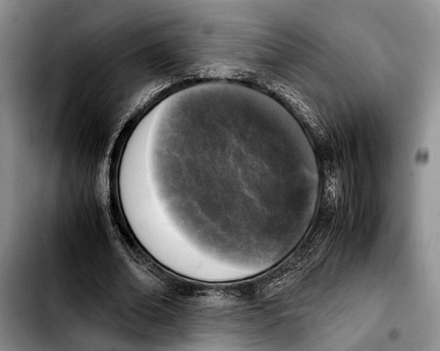 X0000103900678200810101246