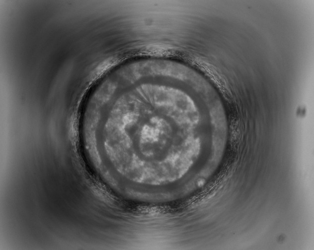 X0000103900679200810101246