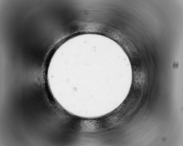 X0000103900680200810101246