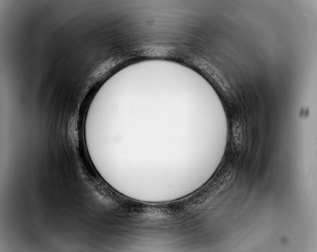 X0000103900682200810101246