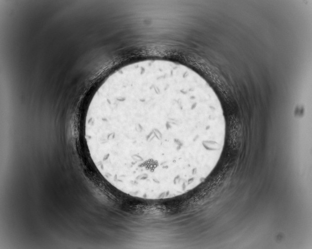 X0000103900683200810101246