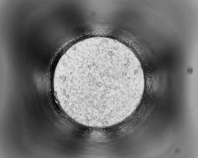 X0000103900684200810101246