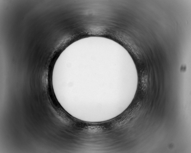 X0000103900686200810101246