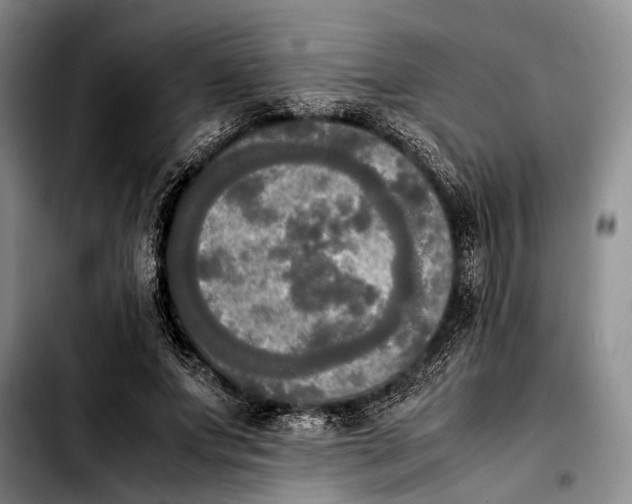 X0000103900687200810101246