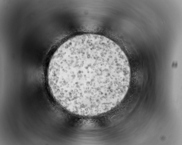 X0000103900688200810101246