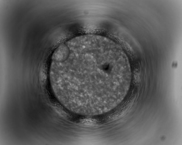 X0000103900691200810101246