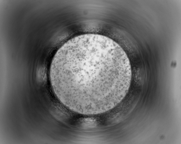 X0000103900692200810101246