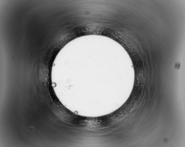 X0000103900693200810101246