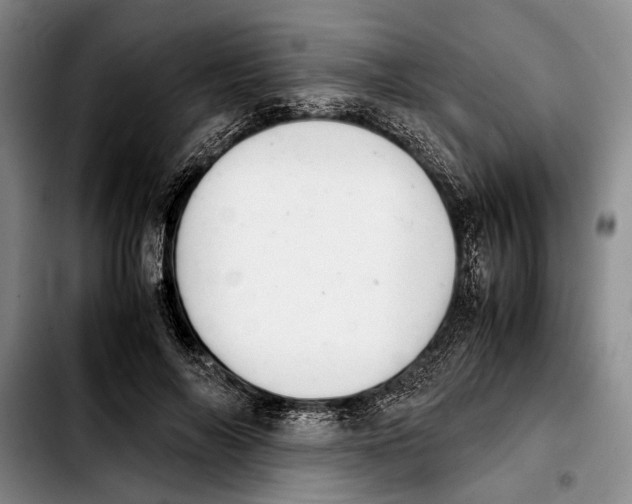 X0000103900694200810101246