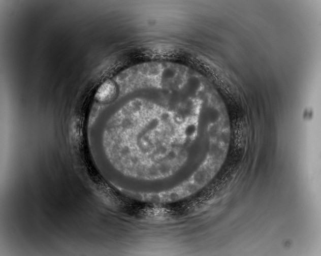 X0000103900695200810101246