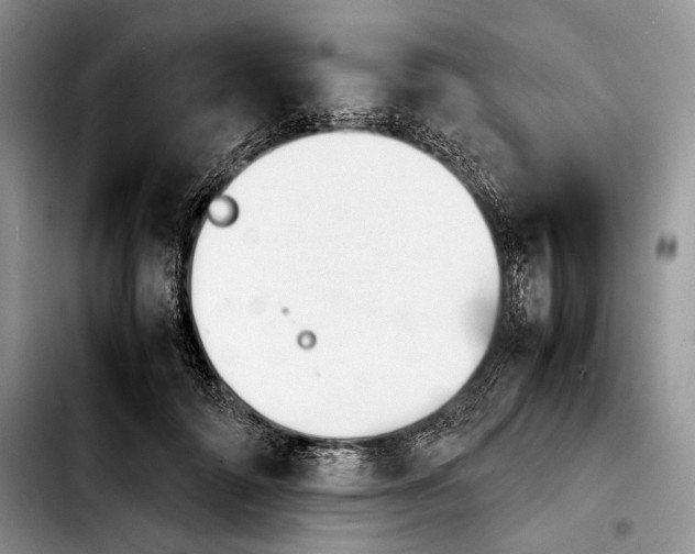 X0000103900698200810101246