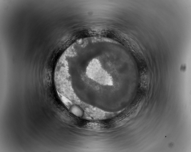 X0000103900699200810101246