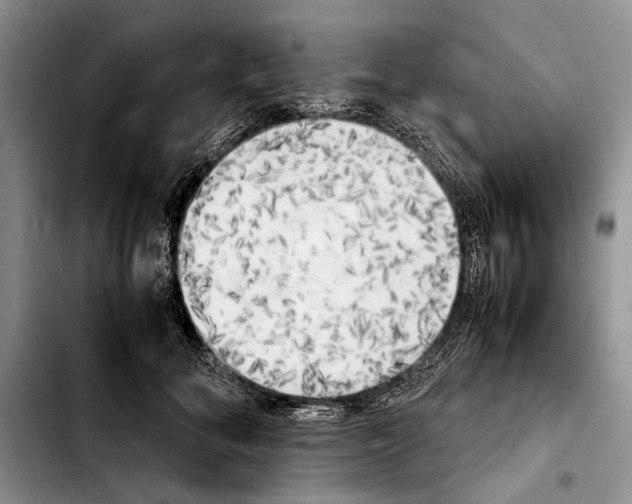 X0000103900700200810101245