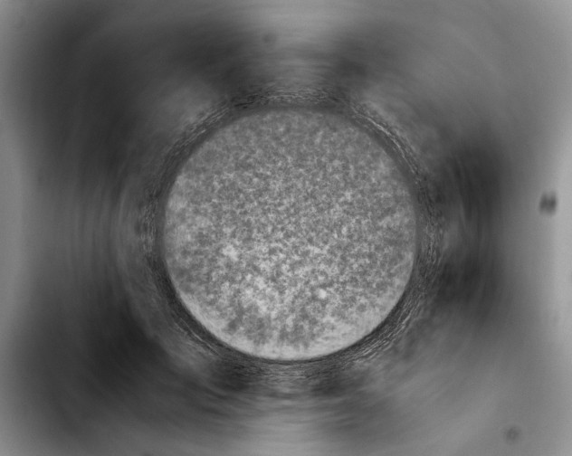 X0000103900701200810101245