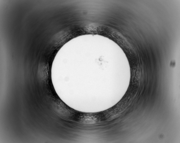 X0000103900702200810101245