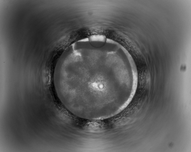 X0000103900703200810101245