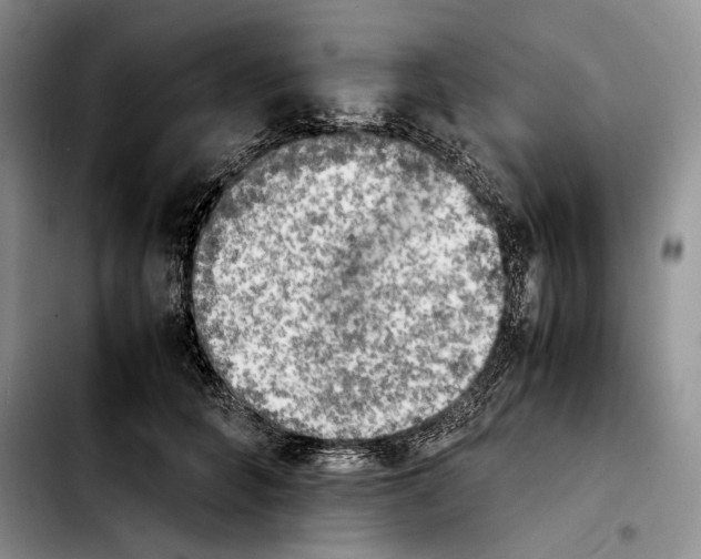 X0000103900704200810101245