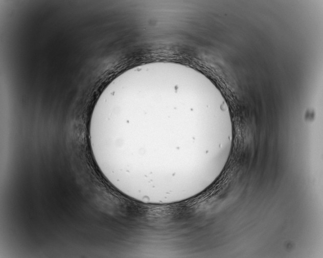 X0000103900705200810101245