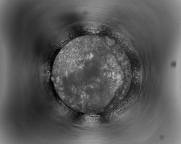 X0000103900707200810101245