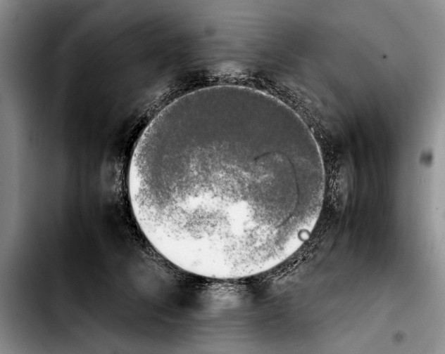 X0000103900708200810101245