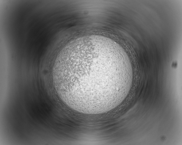 X0000103900709200810101245