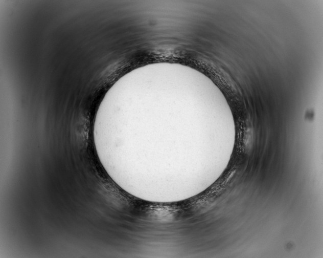 X0000103900710200810101245