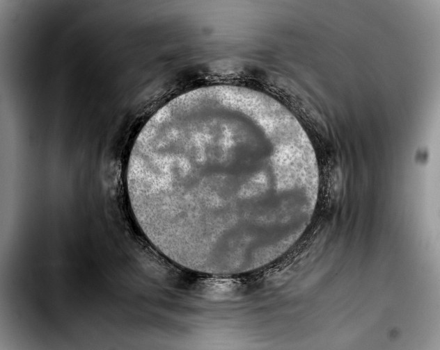 X0000103900711200810101245