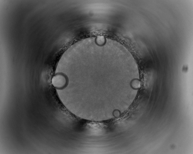 X0000103900712200810101245