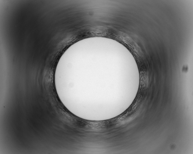 X0000103900713200810101245