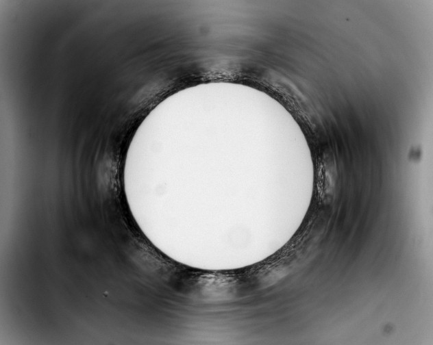 X0000103900714200810101245