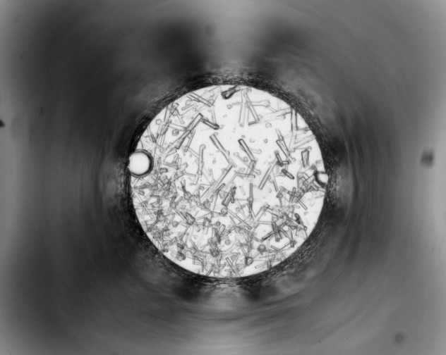 X0000103900715200810101245