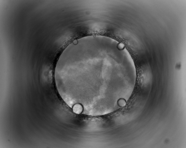 X0000103900716200810101245