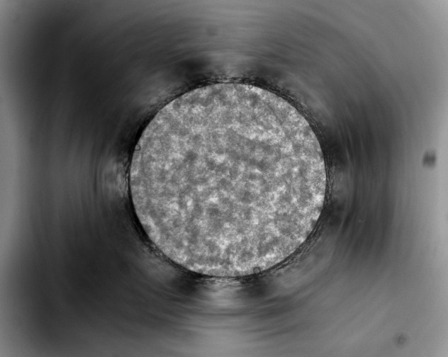 X0000103900719200810101245