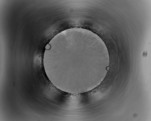 X0000103900720200810101245