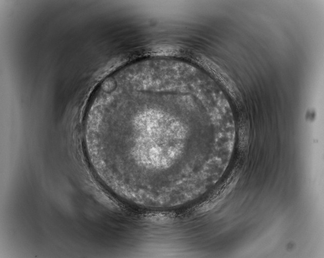 X0000103900721200810101245