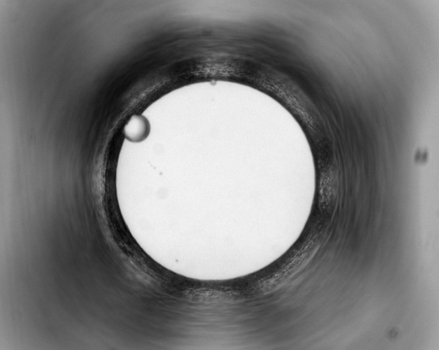 X0000103900722200810101245