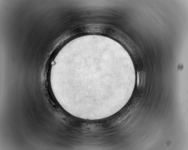 X0000103900723200810101245